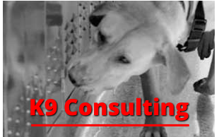 K9 Consulting