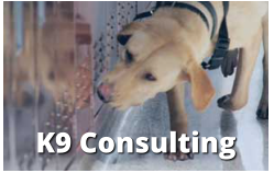 K9 Consulting